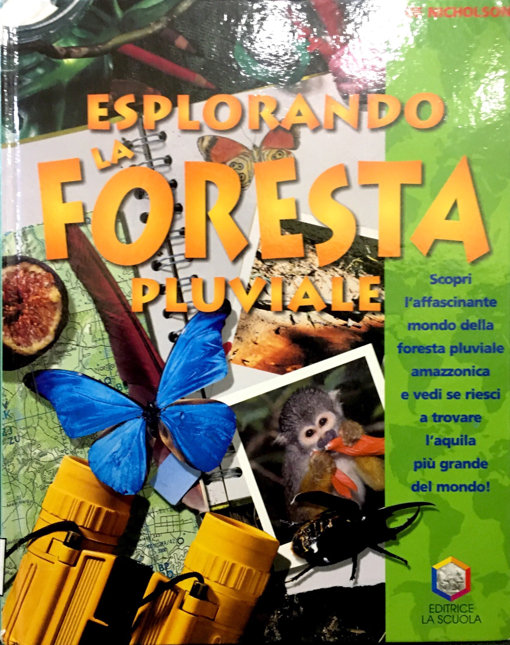 ESPLORANDO LA FORESTA PLUVIALE